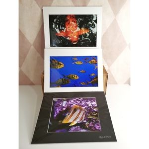 Aquatic Photography Prints